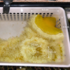 Heteractis malu yellow