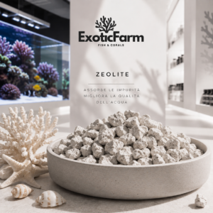 Zeolite naturale ad alte prestazioni