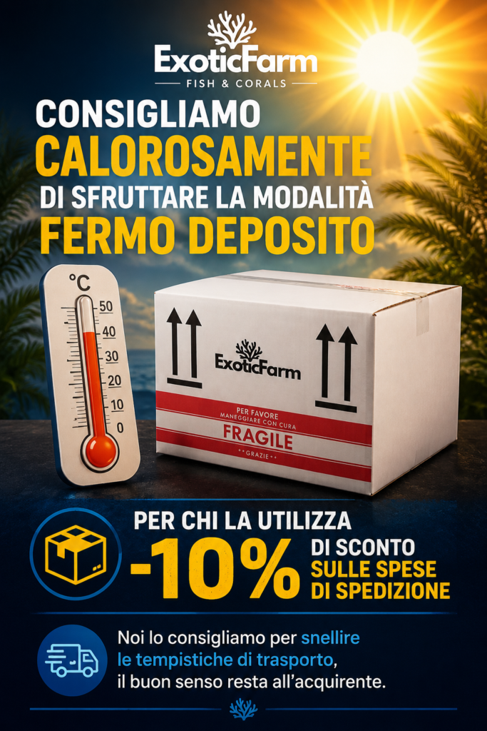 scelta del fermo deposito