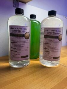 Inoculo da 1 litro di copepodi marini vivi per arricchire la microfauna dell'acquario. Ideale per reef, refugium e vasche in fase di avviamento.