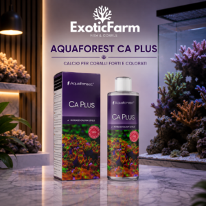 Aquaforest Ca Plus 250 ml reintegra il calcio negli acquari reef. Integratore liquido concentrato per coralli SPS, LPS e molli con dosaggio semplice e preciso.