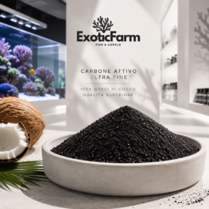 Carbone superattivo - a base di gusci di cocco