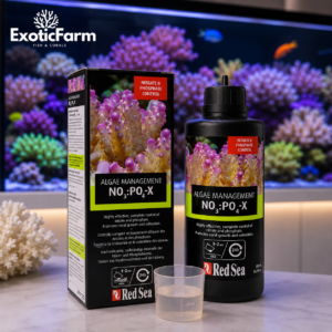 Red Sea NO3:PO4-X riduce nitrati e fosfati nei reef tramite carbon dosing. Disponibile nei formati da 100 ml, 500 ml, 1 litro e 5 litri.