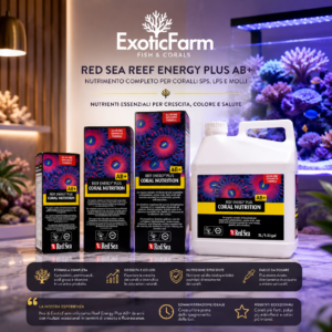 Red Sea – Reef Energy Plus AB+