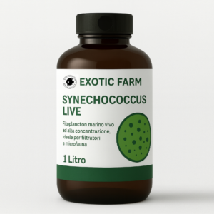 Synechococcus - fitoplancton marini contro cianobatteri e NO3