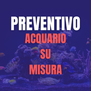 Preventivo acquario su misura