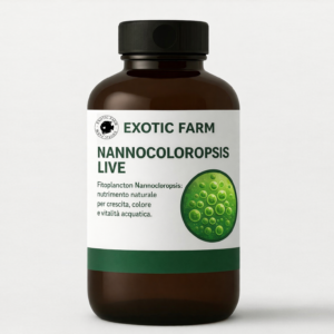 Nannochloropsis - fitoplancton marino, alimento completo per coralli e filtratori - 1000 ml