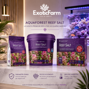 Aquaforest - Reef Salt - sale professionale